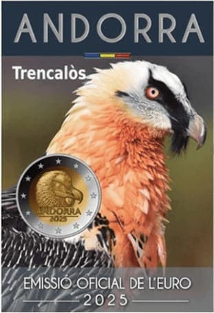 Bearded vulture BU • Blister