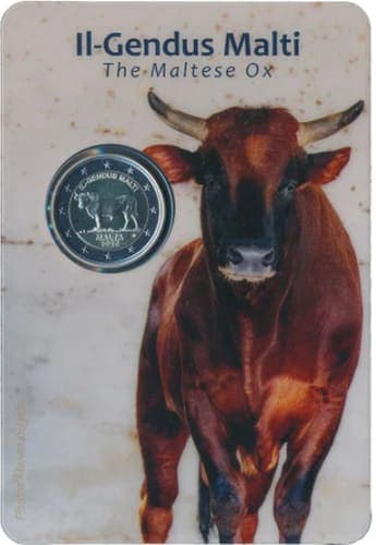 Maltese ox (il-gendus Malti) BU • Blister