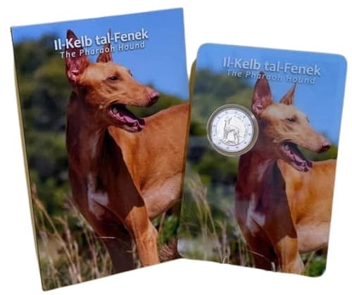 Pharaoh Hound BU • Card