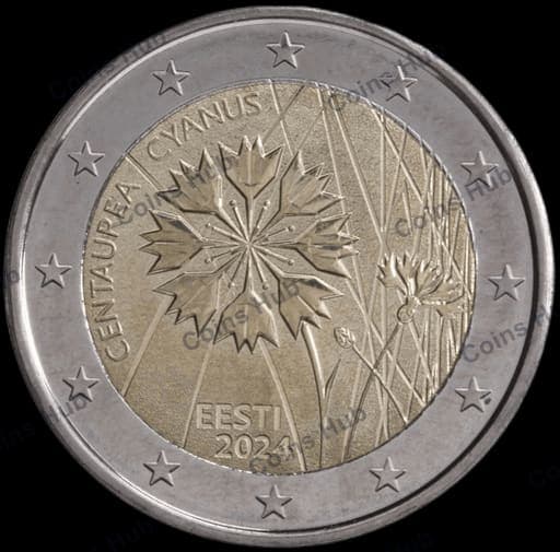 The cornflower – Estonian national flower